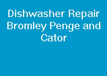 Dishwasher Repair Bromley Penge and Cator