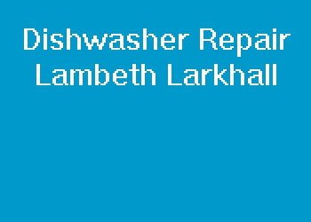 Dishwasher Repair Lambeth Larkhall