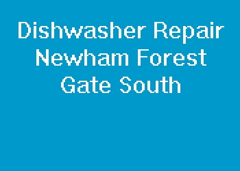 Dishwasher Repair Newham Forest Gate South
