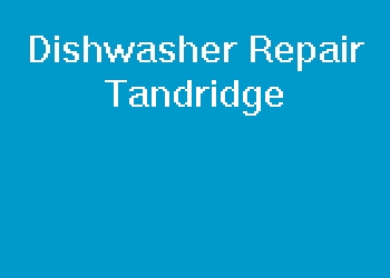 Dishwasher Repair Tandridge