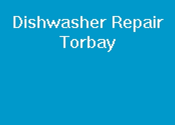 Dishwasher Repair Torbay