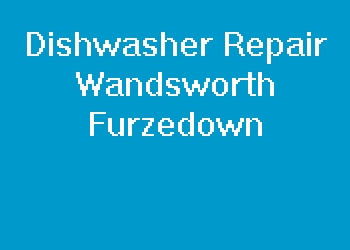 Dishwasher Repair Wandsworth Furzedown