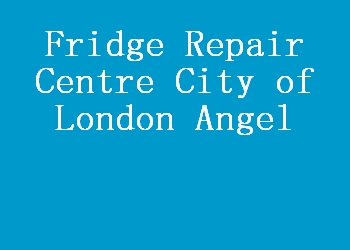 Fridge Repair Centre City of London Angel