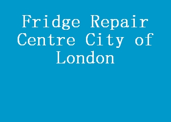 Fridge Repair Centre City of London