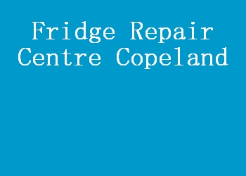 Fridge Repair Centre Copeland