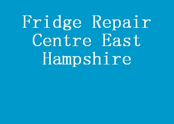 Fridge Repair Centre East Hampshire