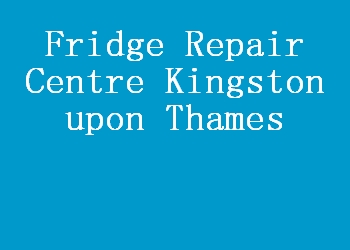Fridge Repair Centre Kingston upon Thames