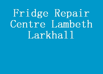 Fridge Repair Centre Lambeth Larkhall