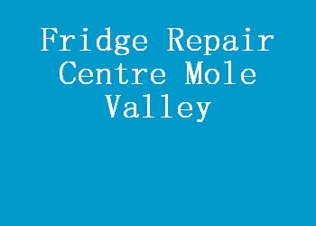 Fridge Repair Centre Mole Valley