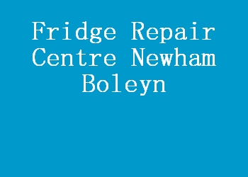 Fridge Repair Centre Newham Boleyn