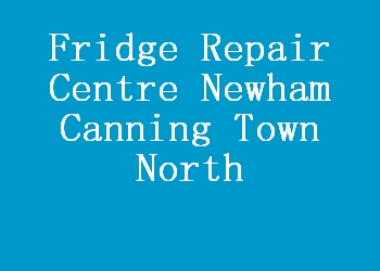 Fridge Repair Centre Newham Canning Town North