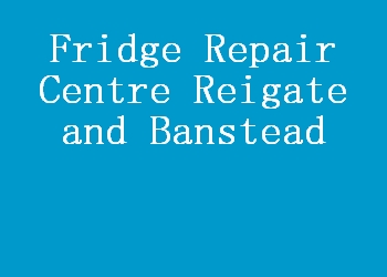 Fridge Repair Centre Reigate and Banstead