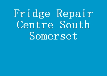 Fridge Repair Centre South Somerset