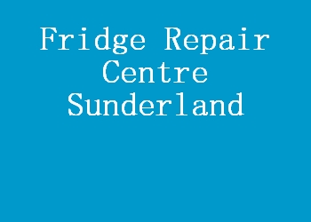 Fridge Repair Centre Sunderland