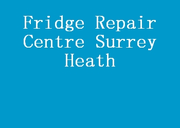 Fridge Repair Centre Surrey Heath