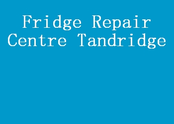 Fridge Repair Centre Tandridge