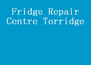 Fridge Repair Centre Torridge