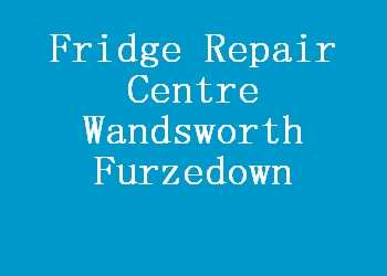 Fridge Repair Centre Wandsworth Furzedown