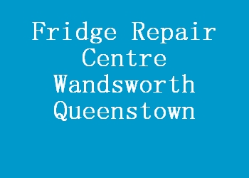 Fridge Repair Centre Wandsworth Queenstown