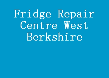 Fridge Repair Centre West Berkshire